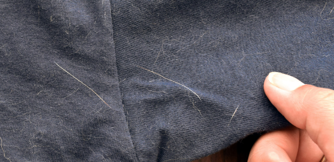 The best ways to remove pet hair from your clothes